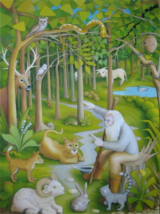 the clearing